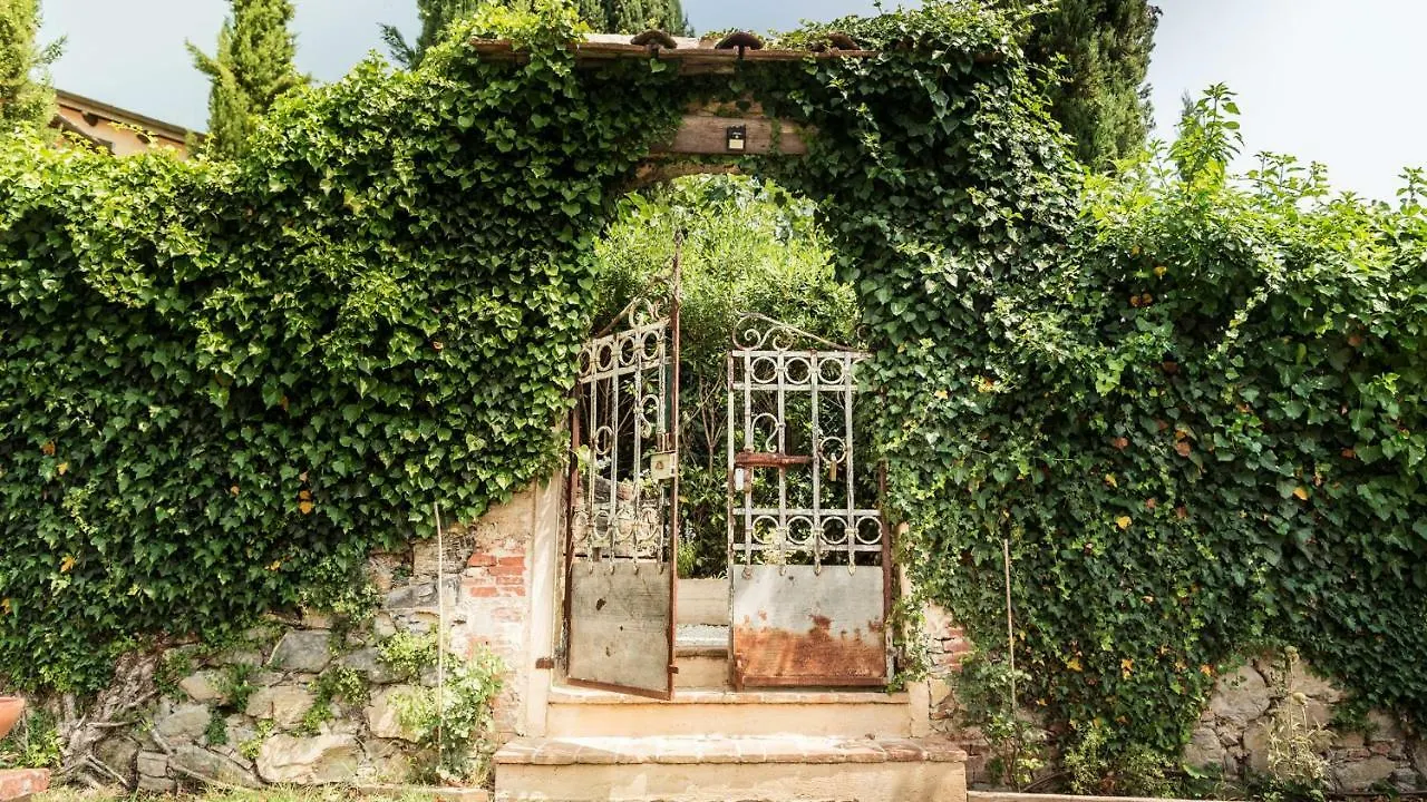 Rustico Dora Villa Camaiore 0*,