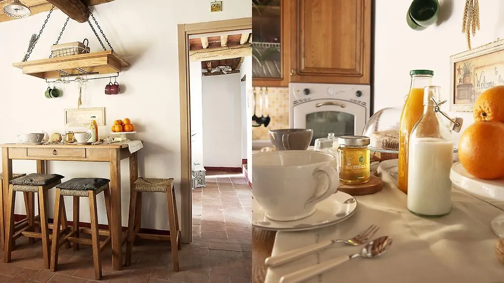 Holiday home Rustico Dora Villa Camaiore