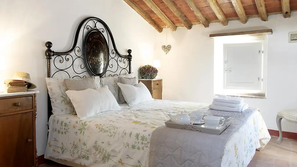 Rustico Dora Villa Camaiore Holiday home