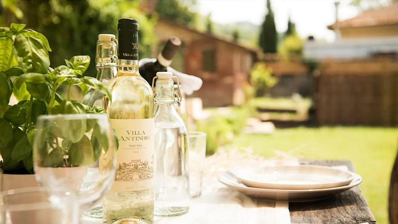 Holiday home Rustico Dora Villa Camaiore